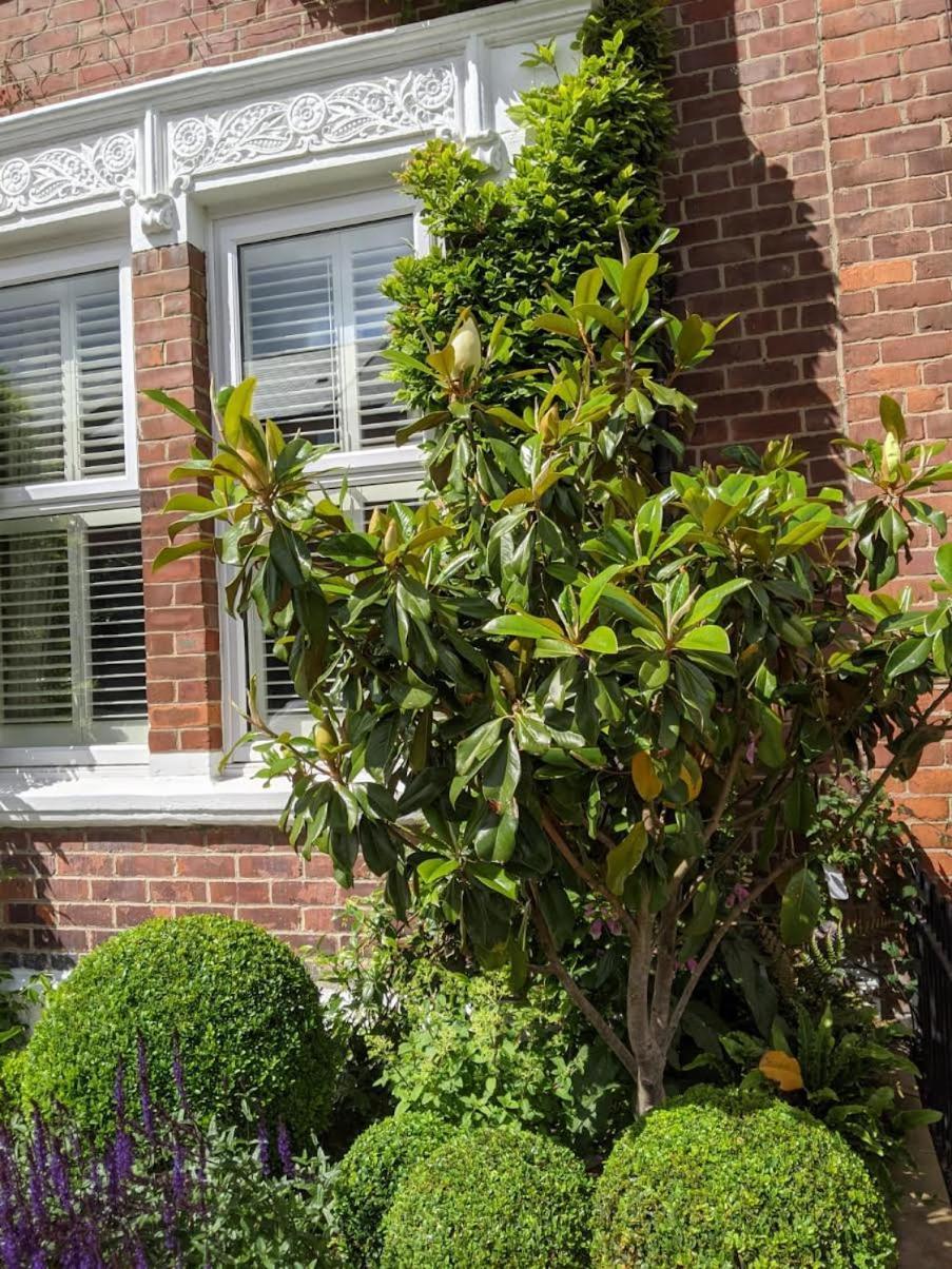 Sidney Grove Bed & Breakfast